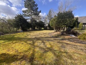 Weiterer Gartenblick