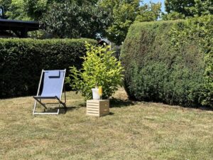 Detailansicht Garten