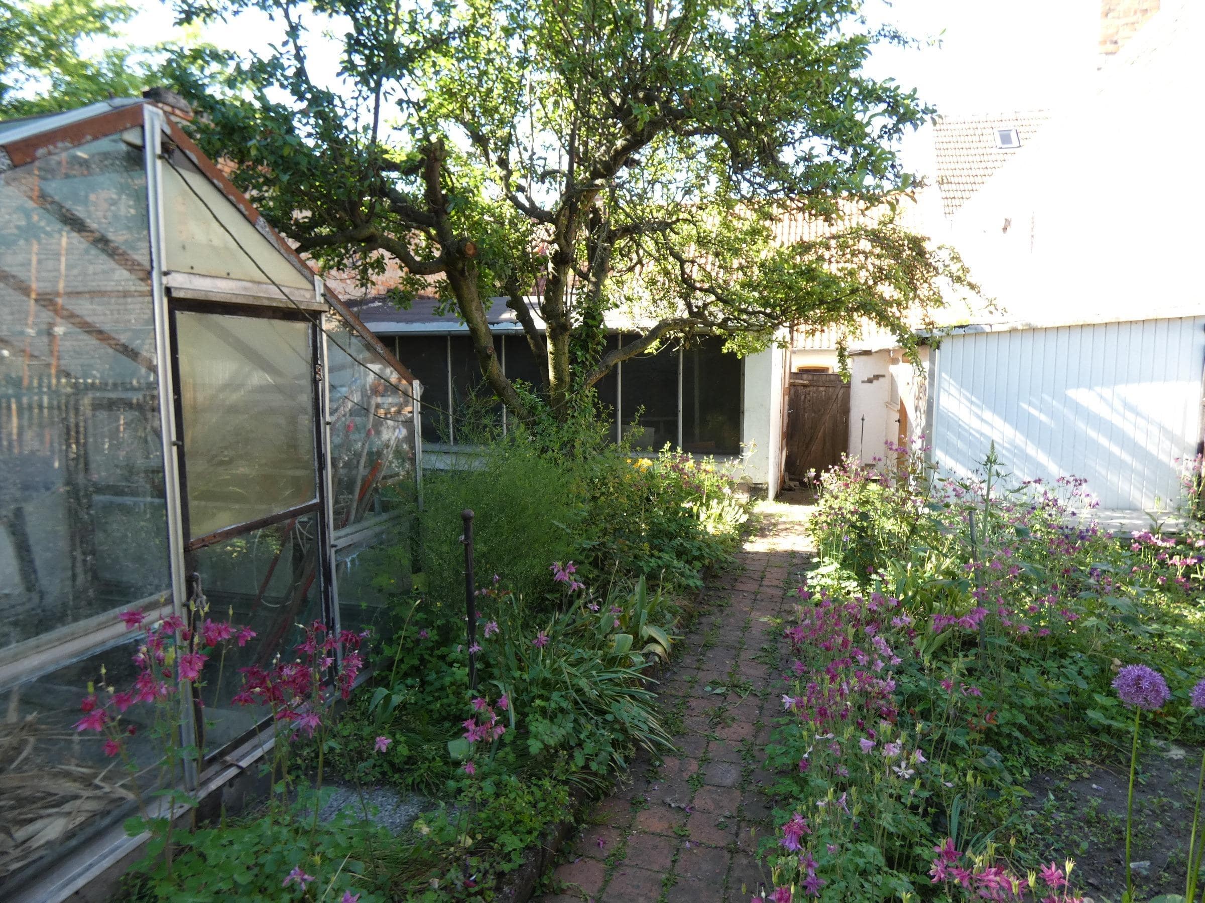 Garten mit Gewächshaus