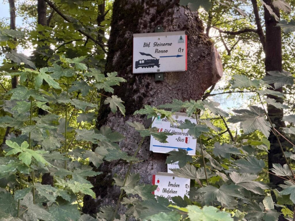 Umgebung