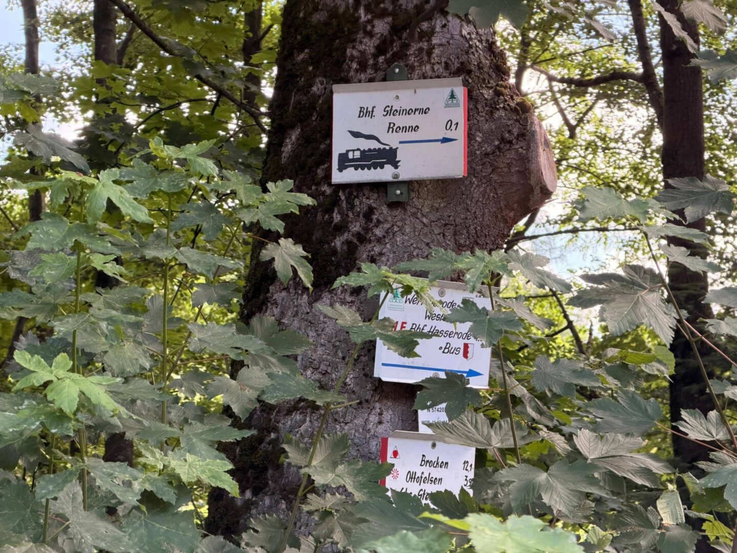 Umgebung