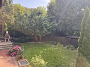 Garten Detailanischt