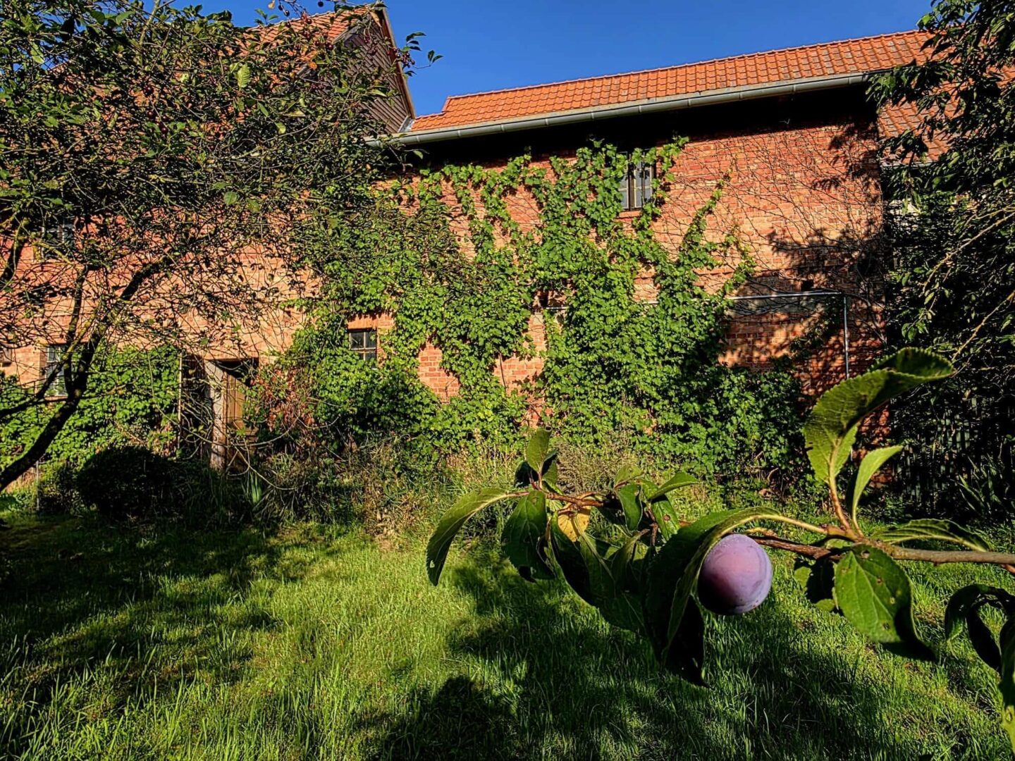 Gartenansicht